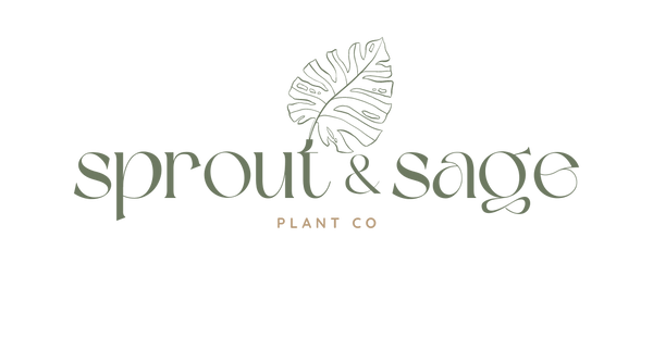 Sprout & Sage Plants